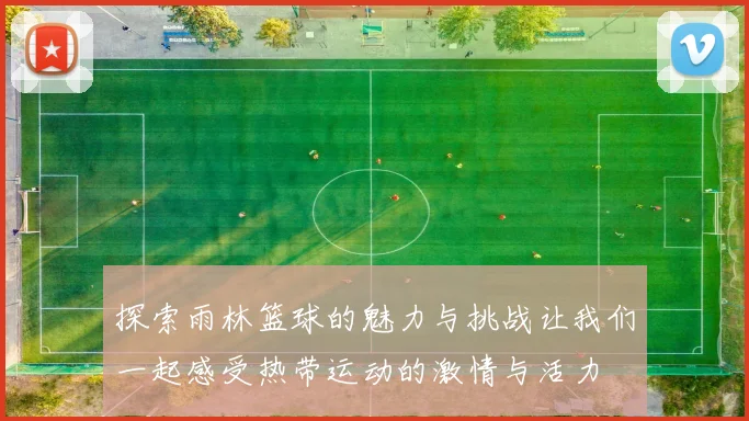 探索雨林篮球的魅力与挑战让我们一起感受热带运动的激情与活力