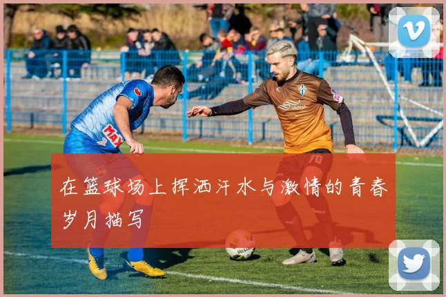 在篮球场上挥洒汗水与激情的青春岁月描写