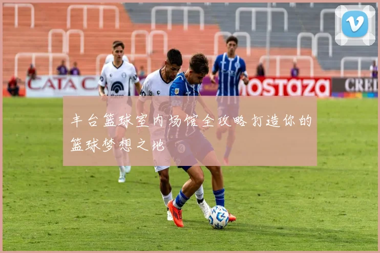 丰台篮球室内场馆全攻略打造你的篮球梦想之地