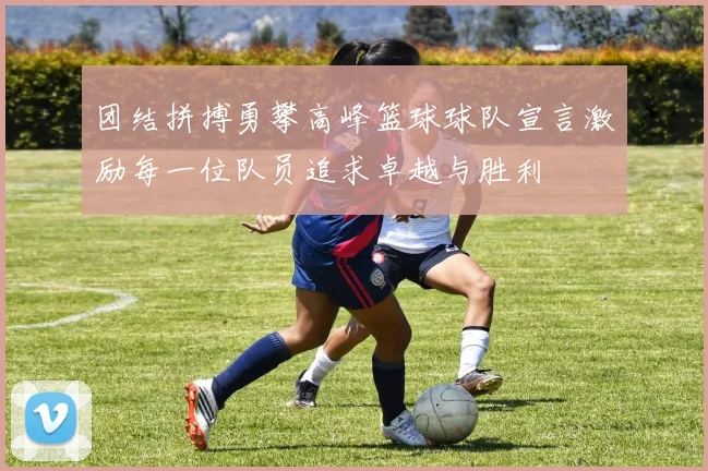 团结拼搏勇攀高峰篮球球队宣言激励每一位队员追求卓越与胜利