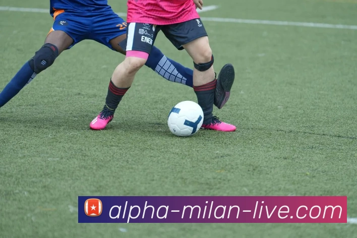 米兰体育全站App